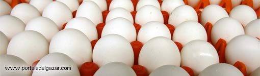 Huevos prevenir la gripe aviar dietas adelgazar