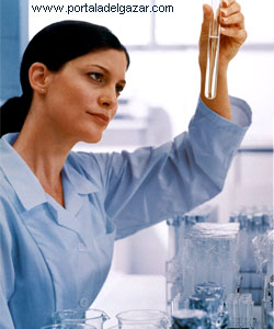 Oms Organizacion Mundial Salud gripe A porcina alimentacion dietas Adelgazar