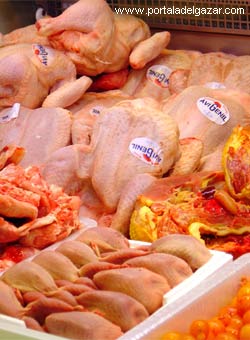 pollos prevenir la gripe aviar dietas adelgazar