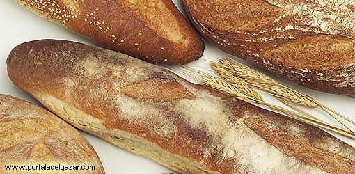 Hidratos de carbono Carbohidratos Pan